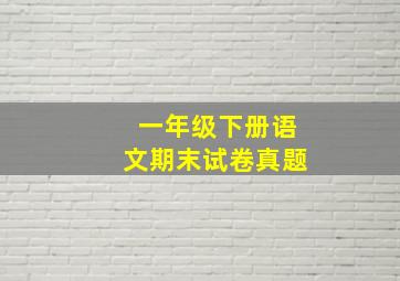 一年级下册语文期末试卷真题