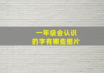 一年级会认识的字有哪些图片