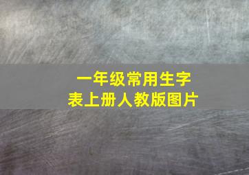 一年级常用生字表上册人教版图片