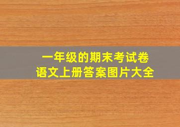 一年级的期末考试卷语文上册答案图片大全