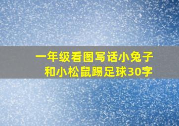 一年级看图写话小兔子和小松鼠踢足球30字