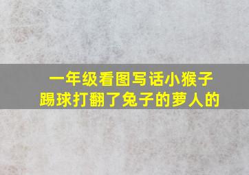 一年级看图写话小猴子踢球打翻了兔子的萝人的