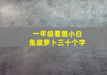 一年级看图小白兔拔萝卜三十个字