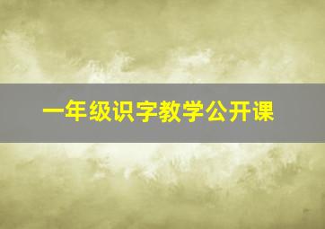 一年级识字教学公开课