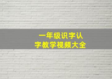 一年级识字认字教学视频大全