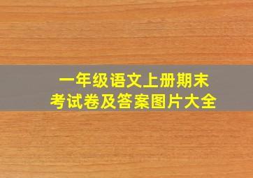 一年级语文上册期末考试卷及答案图片大全