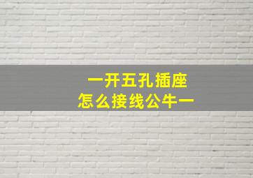 一开五孔插座怎么接线公牛一