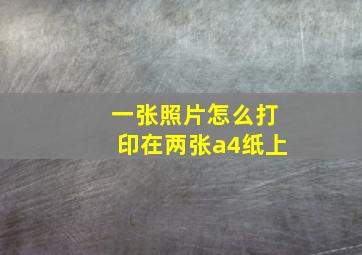 一张照片怎么打印在两张a4纸上