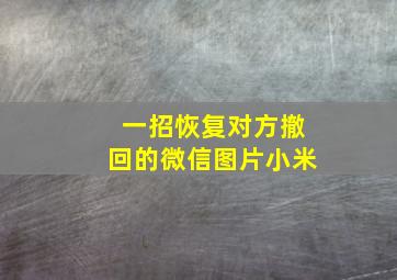 一招恢复对方撤回的微信图片小米