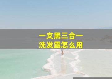 一支黑三合一洗发露怎么用