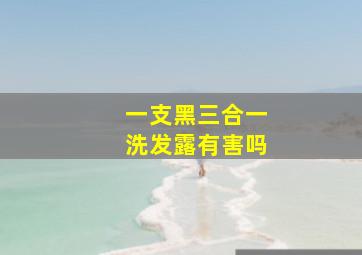 一支黑三合一洗发露有害吗