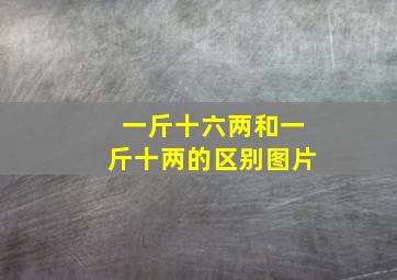 一斤十六两和一斤十两的区别图片