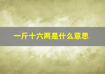 一斤十六两是什么意思