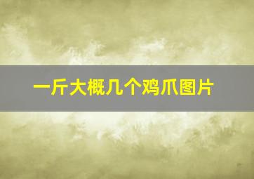 一斤大概几个鸡爪图片