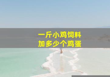 一斤小鸡饲料加多少个鸡蛋