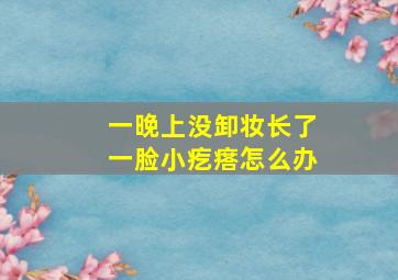 一晚上没卸妆长了一脸小疙瘩怎么办