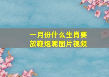 一月份什么生肖要放鞭炮呢图片视频