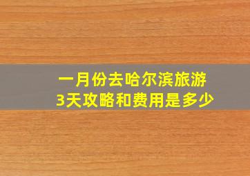 一月份去哈尔滨旅游3天攻略和费用是多少