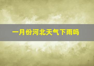 一月份河北天气下雨吗