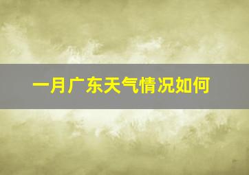 一月广东天气情况如何