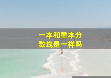 一本和重本分数线是一样吗