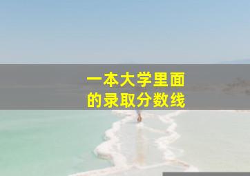 一本大学里面的录取分数线