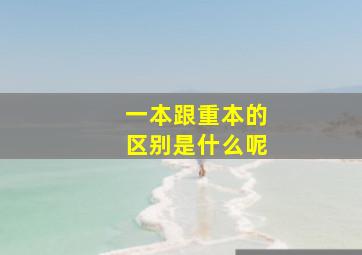 一本跟重本的区别是什么呢