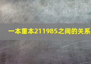 一本重本211985之间的关系