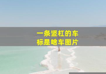 一条竖杠的车标是啥车图片