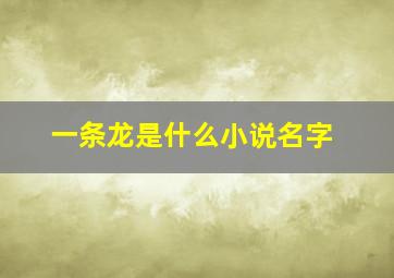 一条龙是什么小说名字