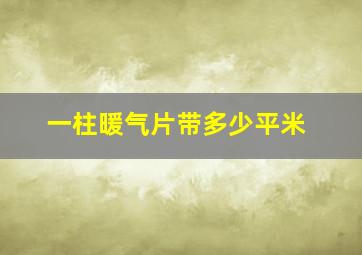 一柱暖气片带多少平米