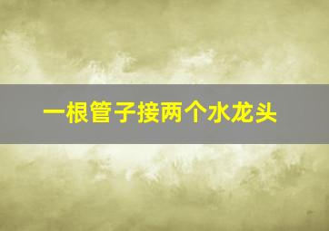 一根管子接两个水龙头