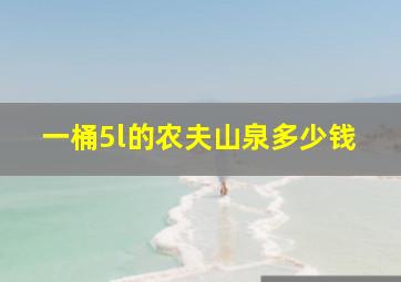 一桶5l的农夫山泉多少钱