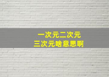 一次元二次元三次元啥意思啊