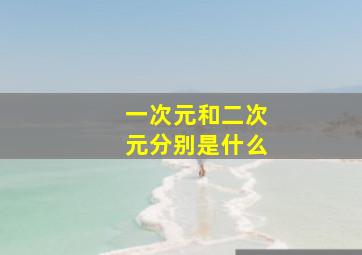 一次元和二次元分别是什么