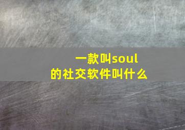 一款叫soul的社交软件叫什么