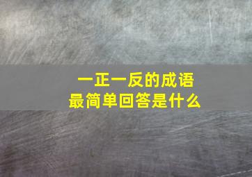 一正一反的成语最简单回答是什么