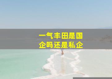 一气丰田是国企吗还是私企