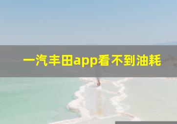 一汽丰田app看不到油耗