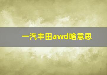 一汽丰田awd啥意思