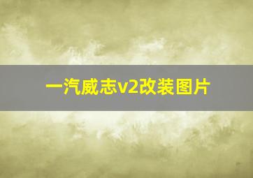 一汽威志v2改装图片