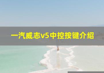 一汽威志v5中控按键介绍