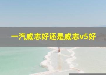 一汽威志好还是威志v5好