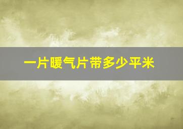 一片暖气片带多少平米