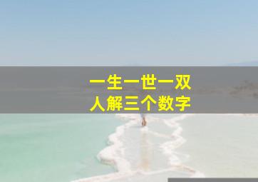 一生一世一双人解三个数字