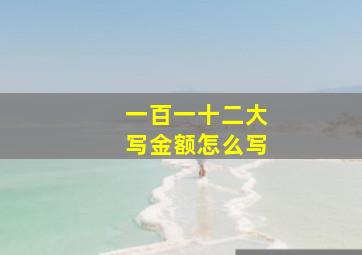 一百一十二大写金额怎么写