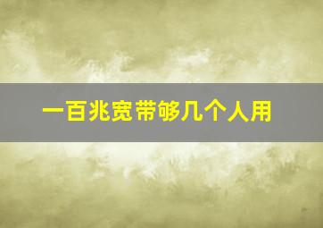 一百兆宽带够几个人用