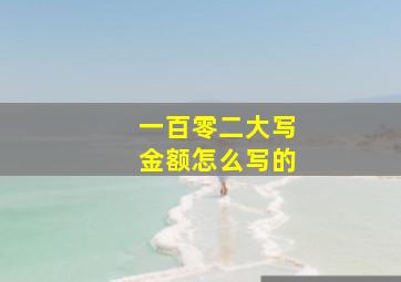 一百零二大写金额怎么写的