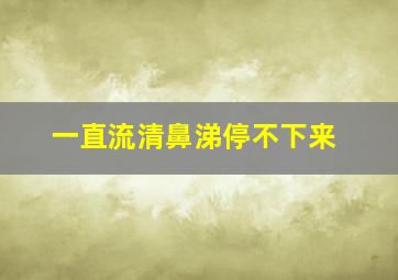 一直流清鼻涕停不下来