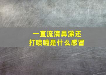 一直流清鼻涕还打喷嚏是什么感冒